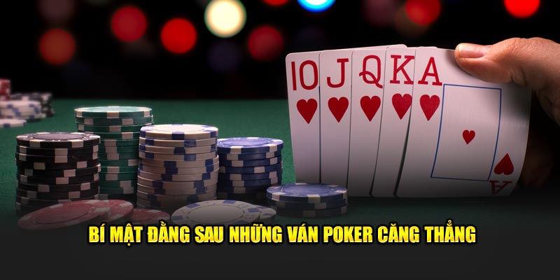 Bí mật đằng sau những ván Poker căng thẳng tại nền tảng